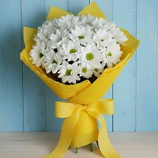 Букет цветов из:  Хризантемы в Мочилы