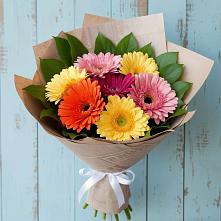 Букет цветов из:  Герберы в Мочилы