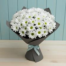 Букет цветов из:  Хризантемы в Мочилы