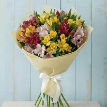 Букет цветов из:  Альстромерии в Мочилы